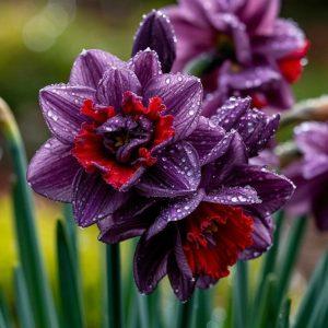 Нарцисс Минт Флер купить по цене от 2000р. в интернет-магазине «Посадика» с доставкой почтой в в Соликамске и по всей России – [изображение №1].