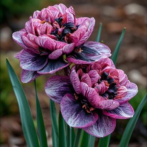 Нарцисс Моргатн Мотив купить по цене от 2000р. в интернет-магазине «Посадика» с доставкой почтой в в Соликамске и по всей России – [изображение №1].