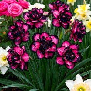 Нарцисс Золотая Корона купить по цене от 2000р. в интернет-магазине «Посадика» с доставкой почтой в в Соликамске и по всей России – [изображение №1].